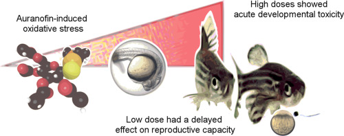 Environmental developmental impact