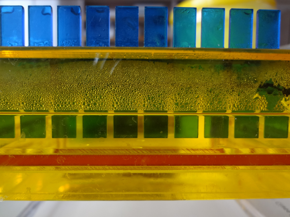 electrophoresis comb