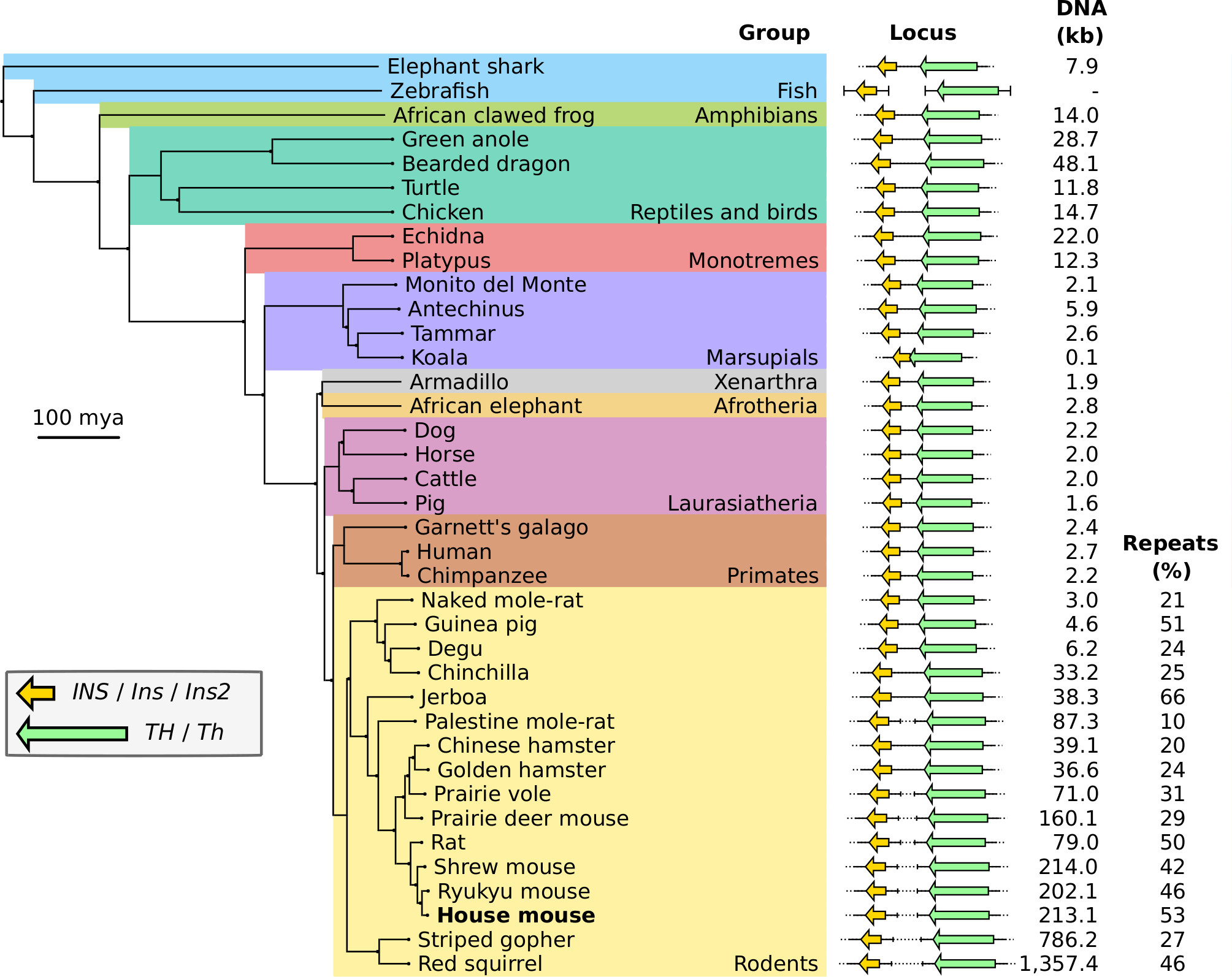 Comparative epigenetics diagram