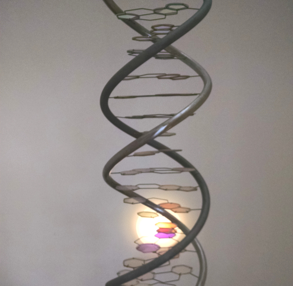 davis dna stair